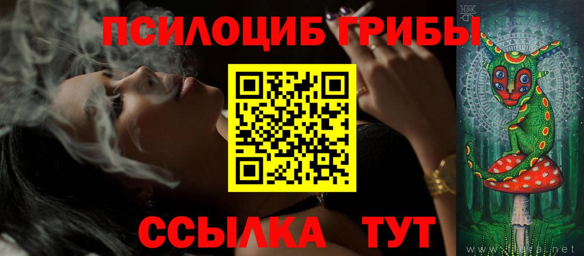 Галлюциногенные грибы Psilocybe Рыбинск