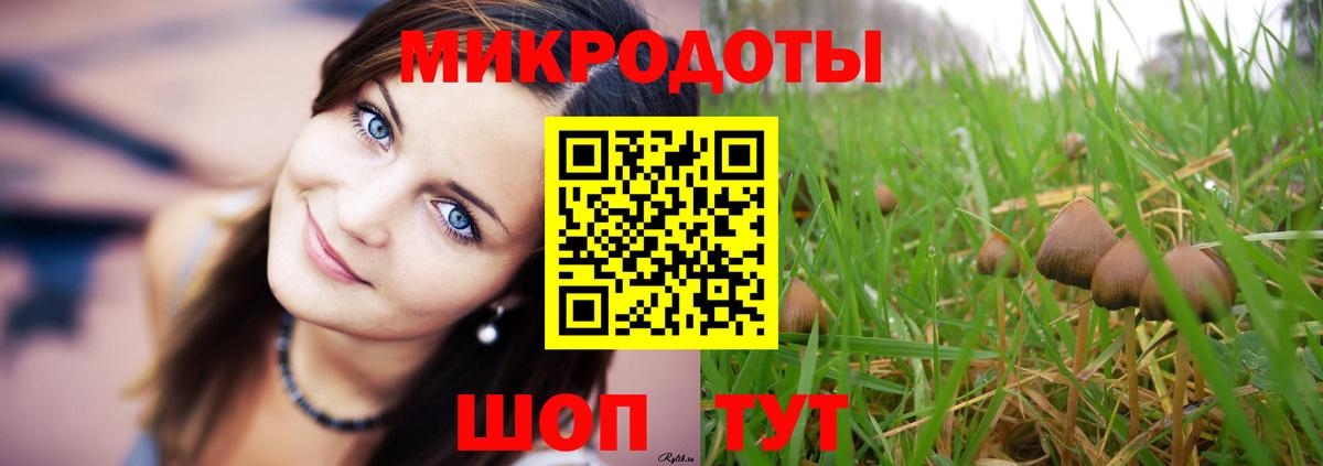 Псилоцибиновые грибы Cubensis  Вход с VPN  Псилоцибиновые грибы ЛСД  Рыбинск 